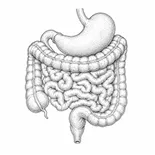 GI