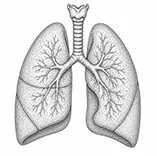 Lung