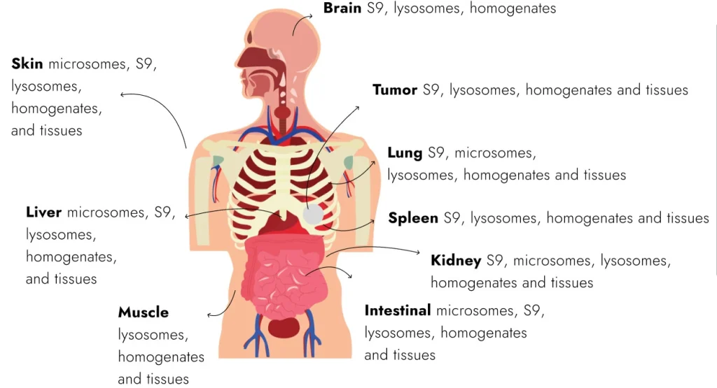 New ADME and DMPK Products Brochure