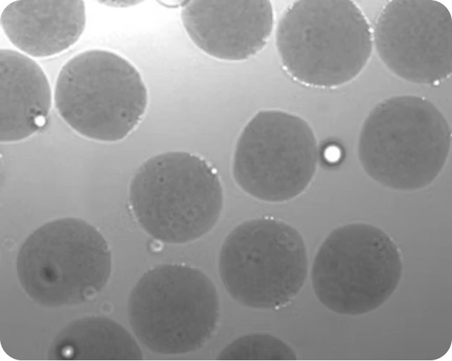 Preci-ECM-protein-concentration4.5 mg/ml