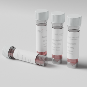 Primary human bronchial epithelial cells (BEC) cultured in laboratory cell culture