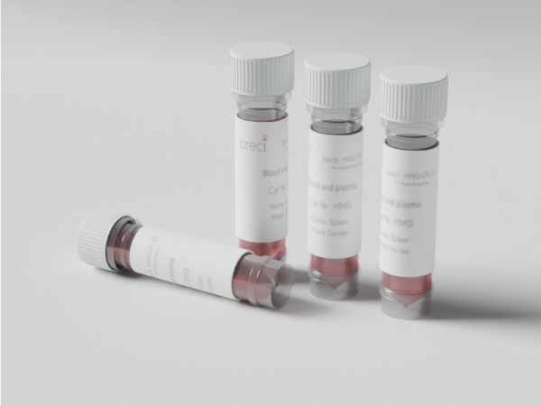 Primary human bronchial epithelial cells (BEC) cultured in laboratory cell culture