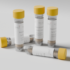 Human brain microvascular endothelial cells cultured in laboratory cell culture