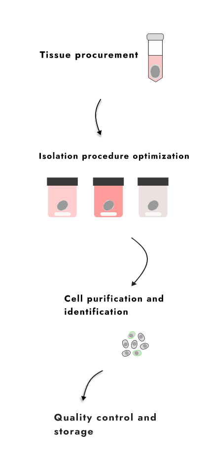 Custom hECM isolation
