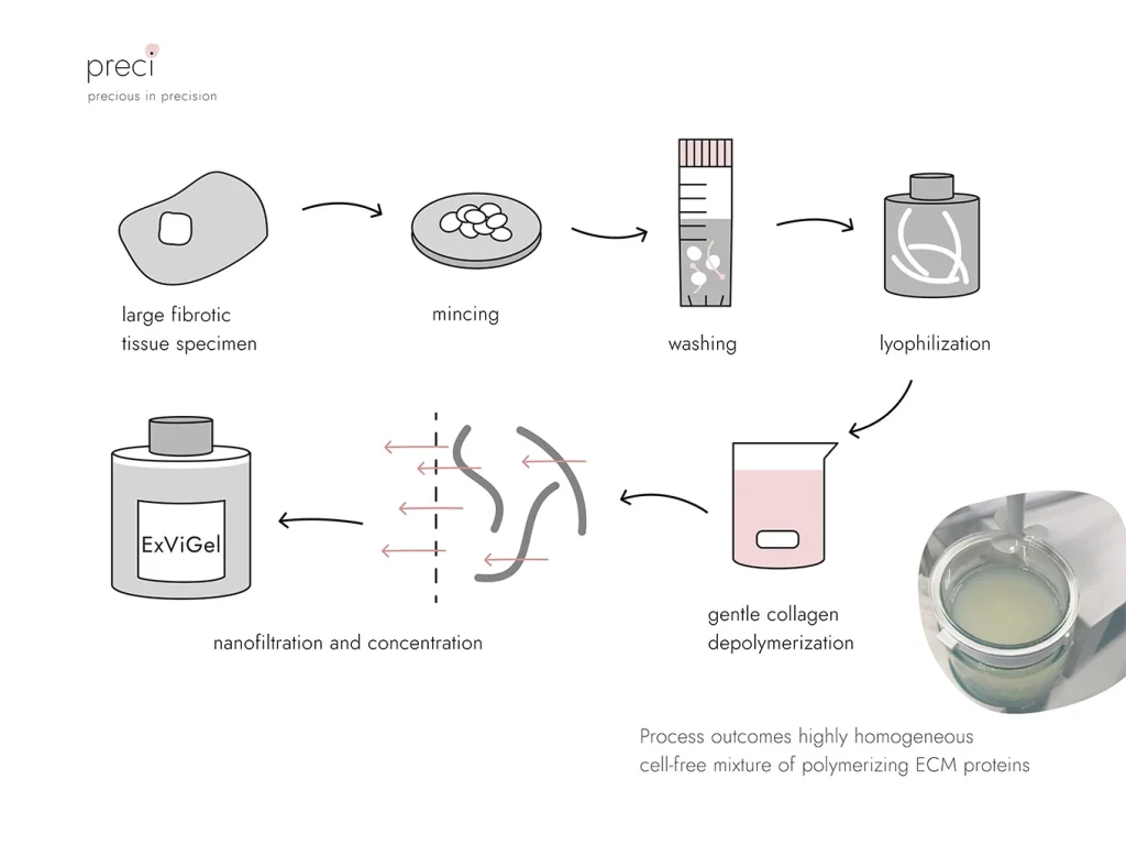 Current problems in supply prove additionally that those products are heavily used in modern days. How reliable Matrigel is? It is derived from Engelbreth-Holm-Swarm mouse sarcoma via urea-based isolation procedure. While, there is similar protein content to human tissues, it is still far from being called faithful ECM model. What Preci proposes? ExVivoGel is a new product, derived in the form of hydrogel from human tissue. It still uses no enzyme digestions and is not modified synthetically. Consider it as a reconstituted version of human extracellular matrix. Our batch product is isolated from soft tissue sarcoma, however, more niche ones can be made from liver fibrosis tissue and tumor metastasis. All isolation procedures can be carried out for most of the fibrotic tissues known. Thus you can design a batch for your application. First 1L batch is produced, so contact us, if you want to test it!