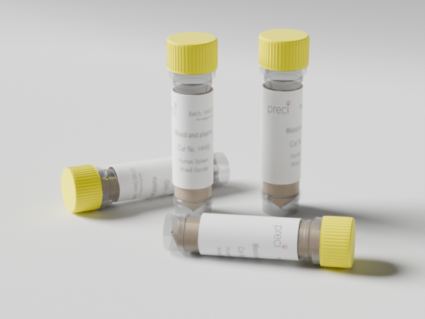 Human Pulmonary Endothelial Cells (HPEC) primary cell culture