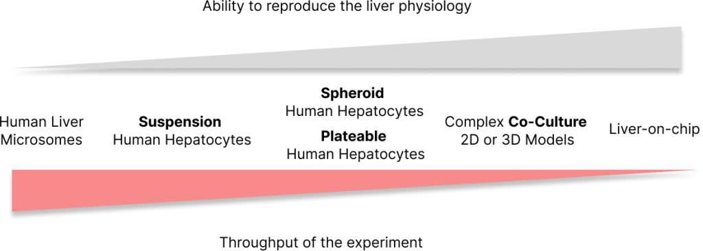 What are the different types of human hepatocytes assays and how are they used? 