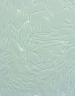 Phase contrast micrograph of confluent Human Pulmonary Fibroblasts in culture, displaying elongated spindle-shaped morphology with prominent nuclei and minimal debris.