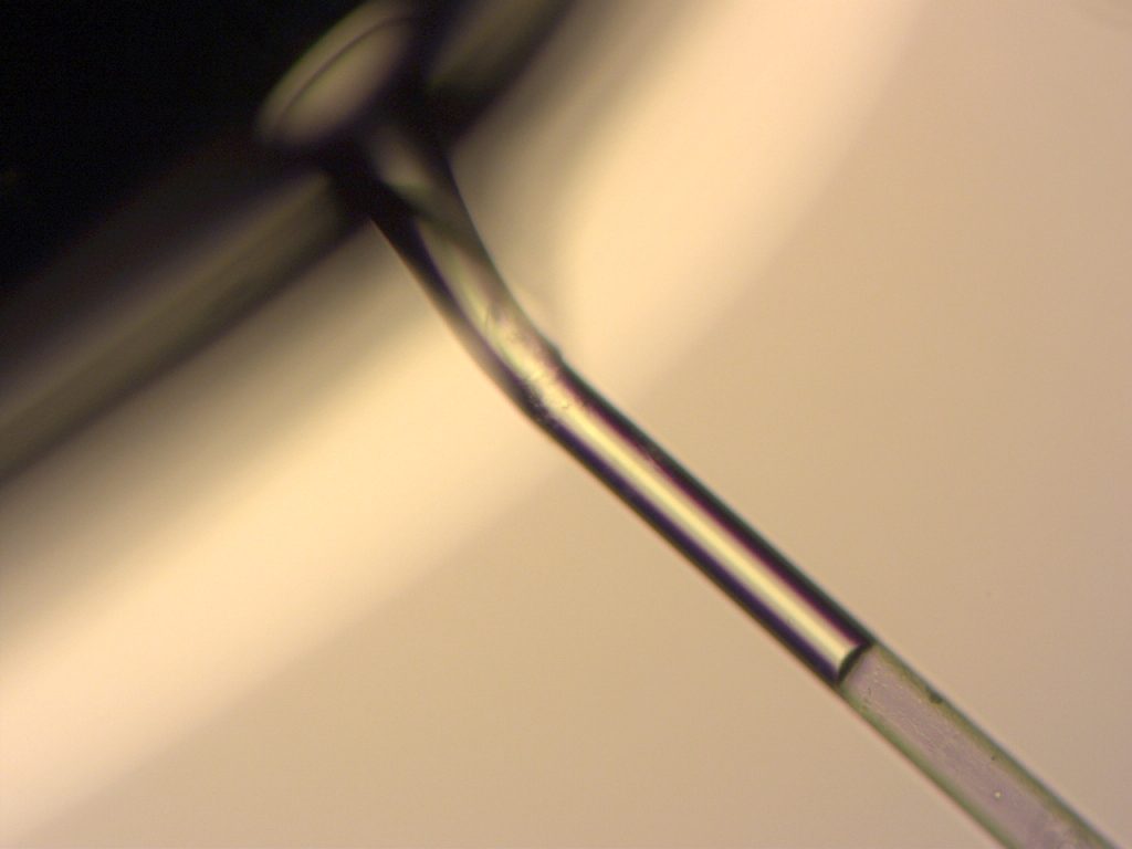 Microscope image of aspirated polyacrylamide gel standard in micropipette for Young's modulus measurement (micropipette aspiration technique)