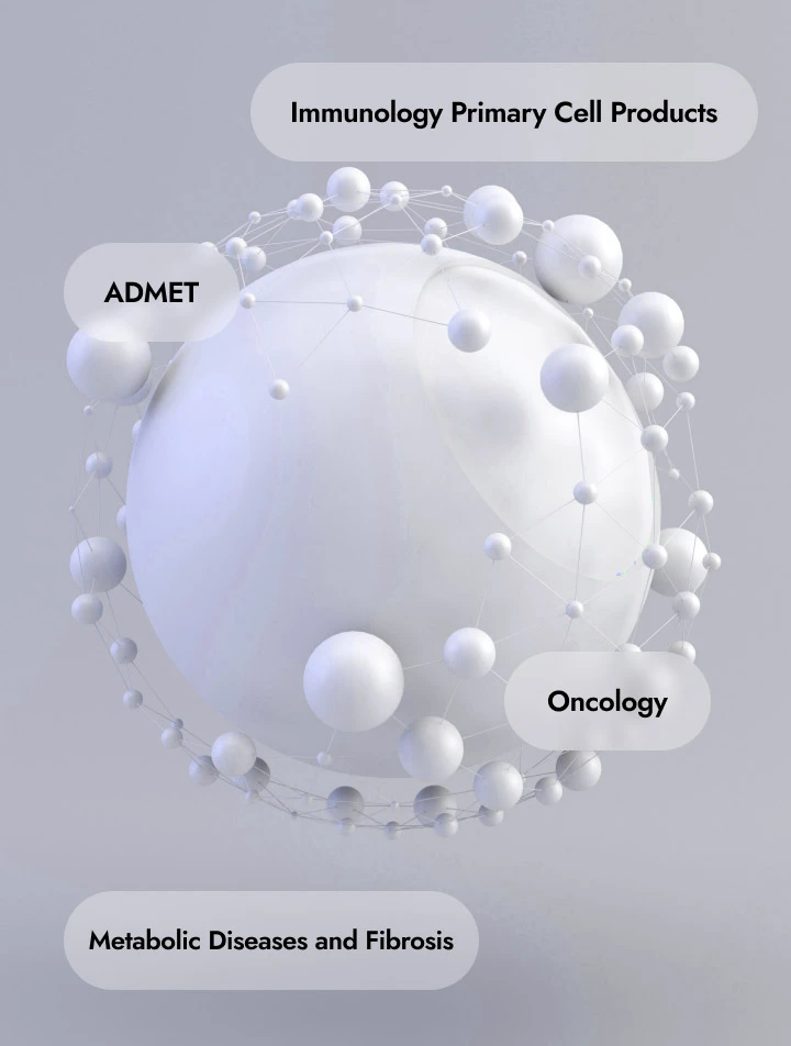 Primary cells, human ECM & 3D technologies for ADMET
