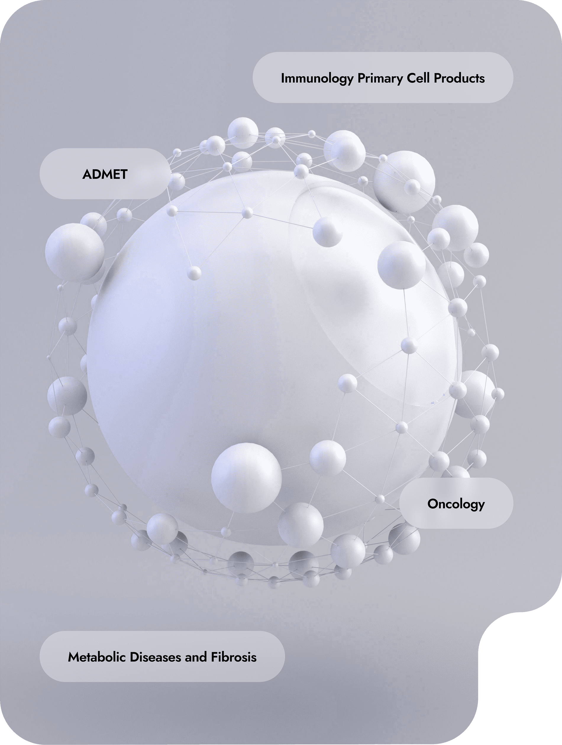 Primary cells, human ECM & 3D technologies for ADMET