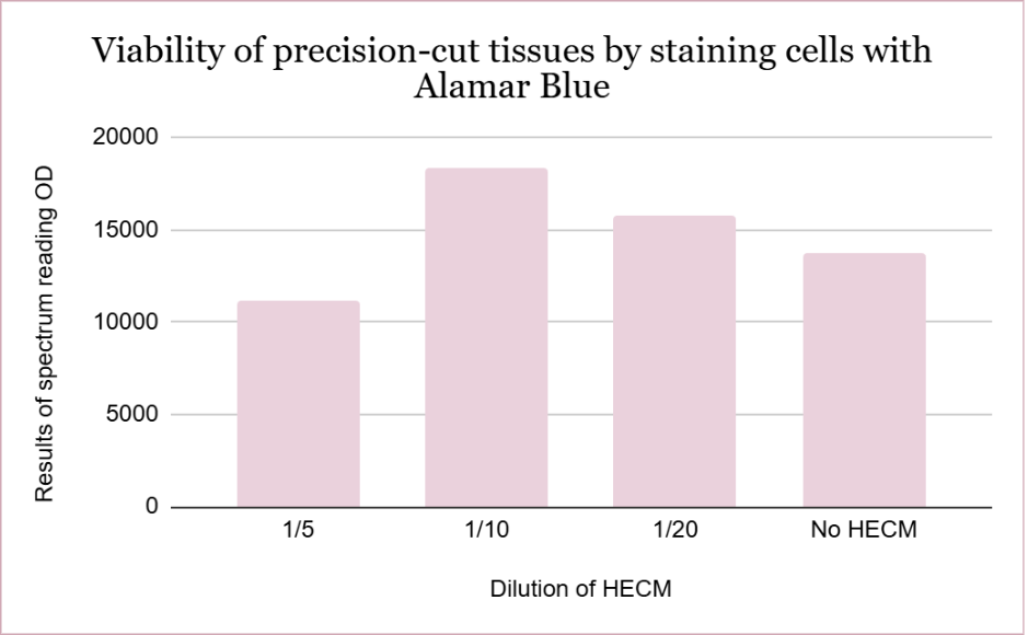 viability of precision-cut tissues by staining cells with Alamar Blue
