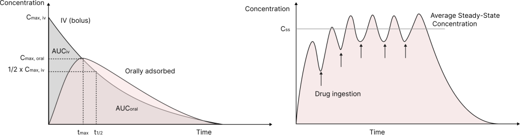 Graph showing a plasma concentration–time curve, illustrating how drug concentration in blood changes over time and reflects levels in tissue reservoirs.