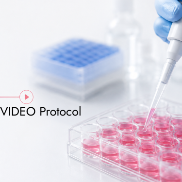 Human Hepatocyte Thawing & Metabolism Assay | Video