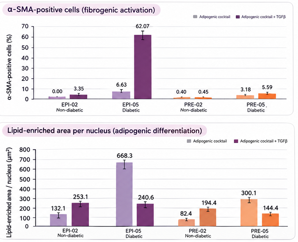 Quantitative comparison of α-SMA-positive cells and lipid accumulation across the donor panel.